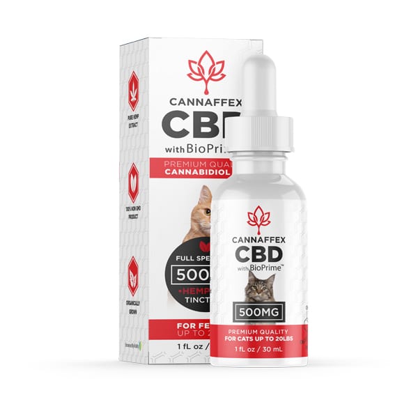 cbd-oil-for-cats-500mg-cannaffex (1)