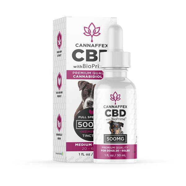 cbd-oil-for-dogs-500mg-cannaffex (1)